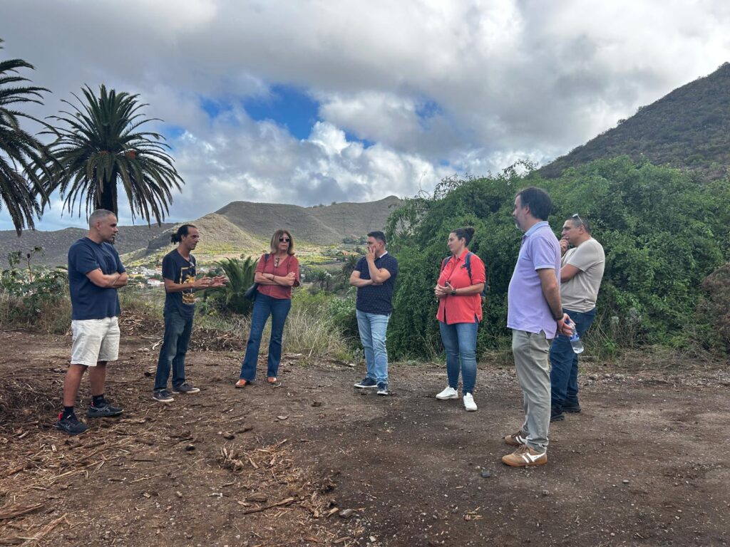 WhatsApp Image 2025 10 30 at 13.17.50