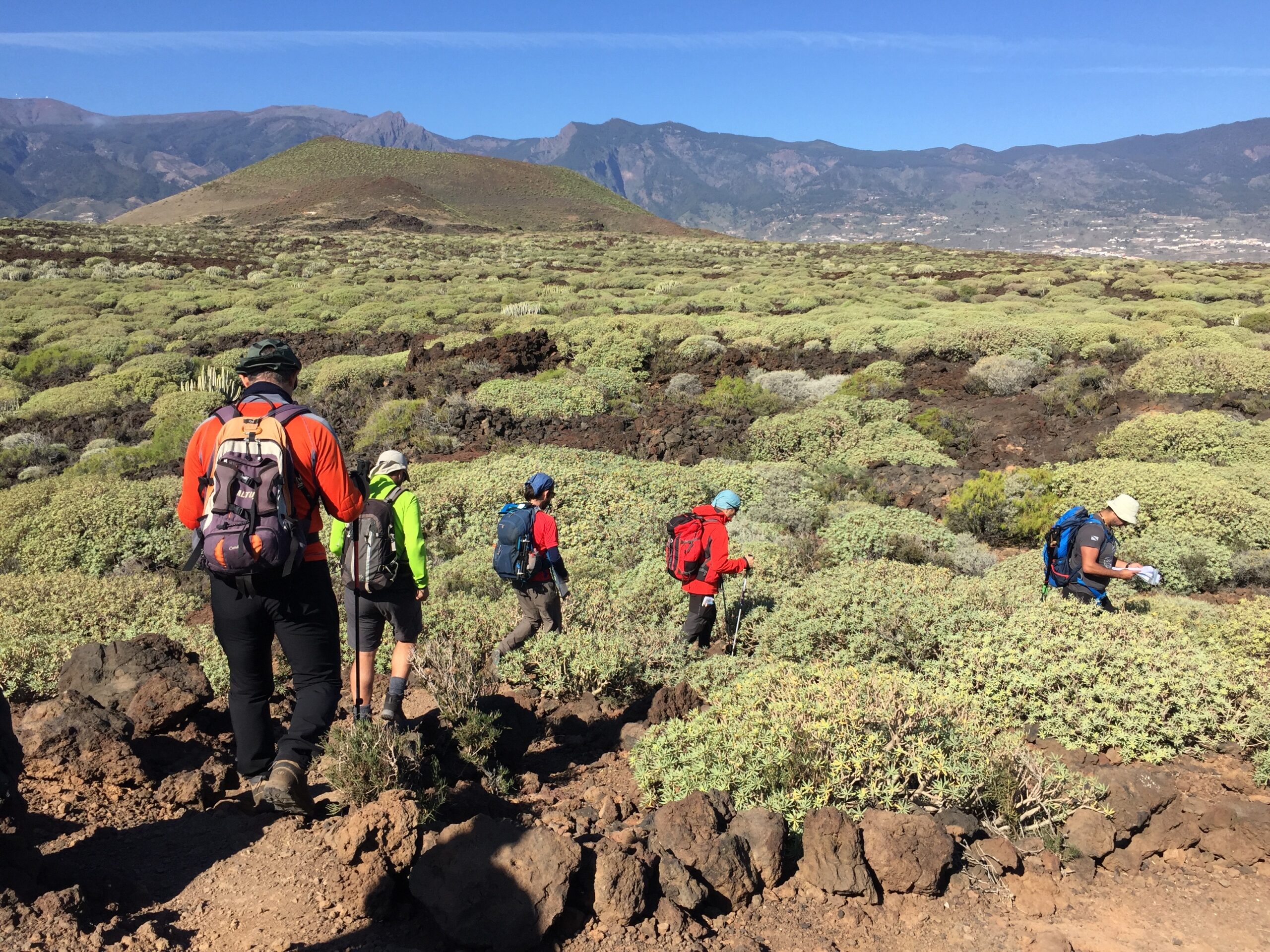 Malpais de Guimar scaled