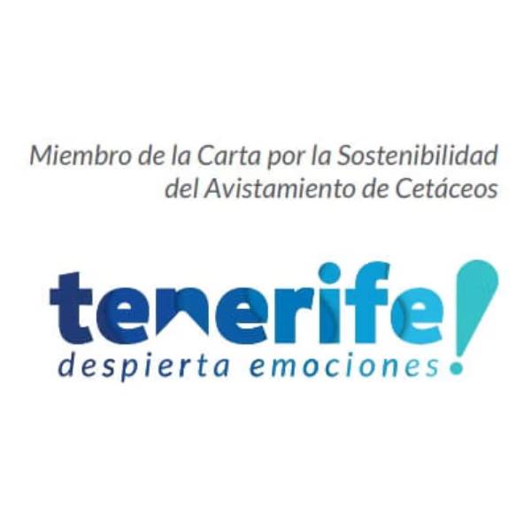 7. Cartas por la sostenibilidad
